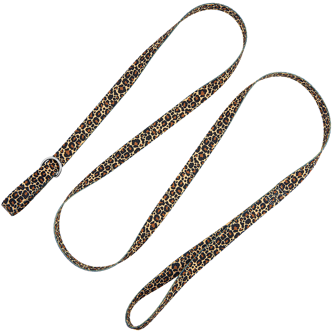 5-Slip-Lead-Leash-Cheetah