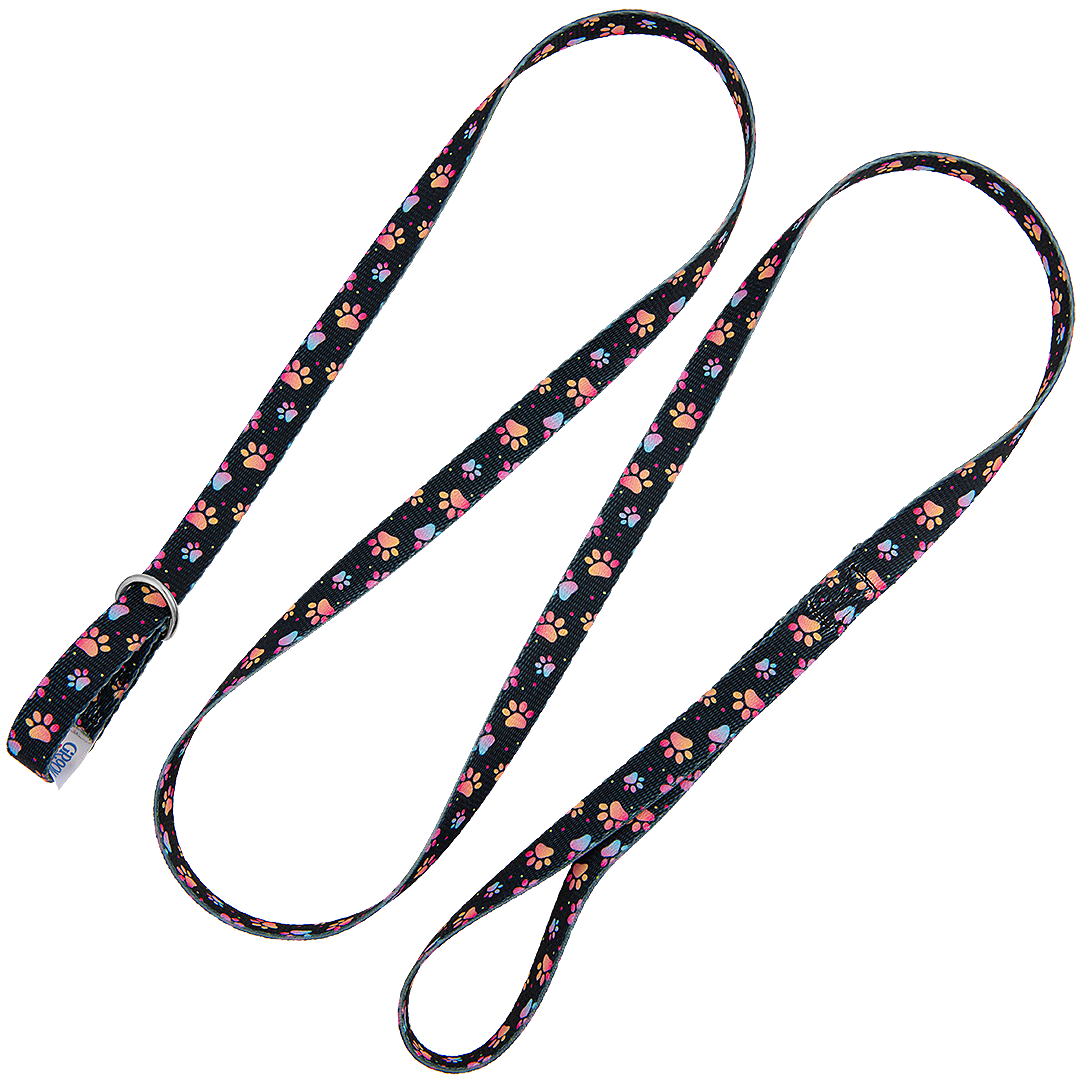 5-Slip-Lead-Leash-Multicolor-Paws