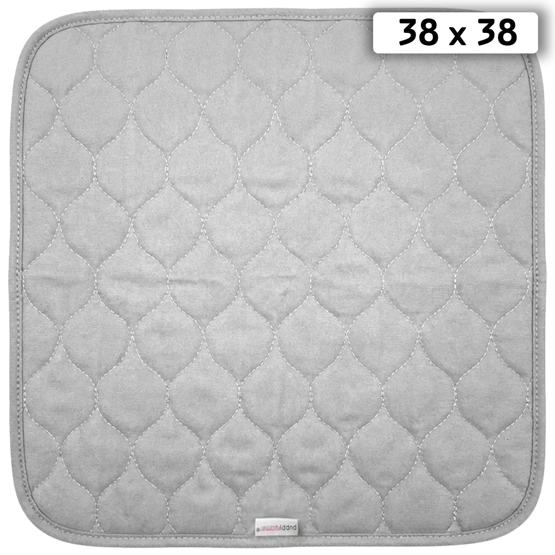 PPW22790-100
