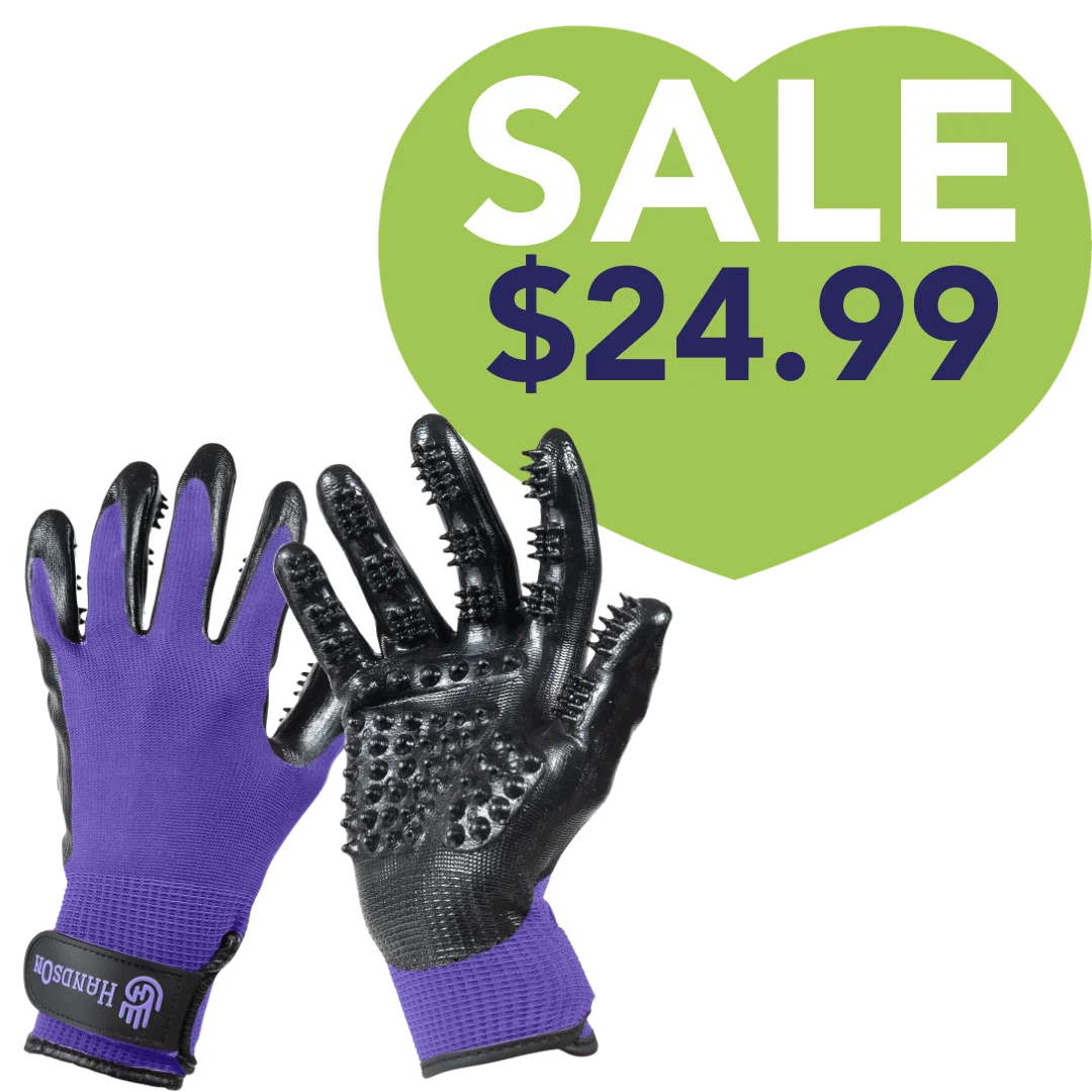 Purple_Monochromatic_Deshedding_Gloves_by_HandsOn_Gloves