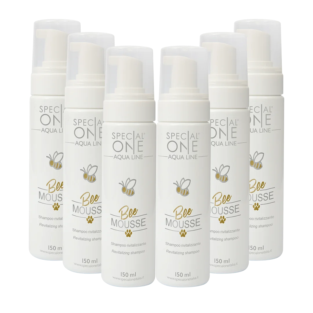 Special-One-Bee-Mousse-Shampoo-box-of-6-100ml