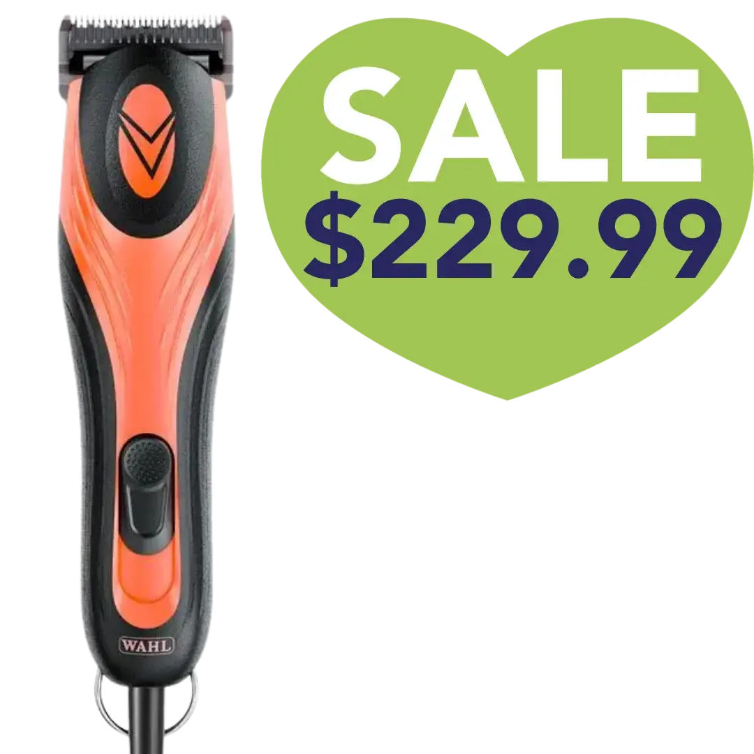 Wahl_KM_Velocity_sale