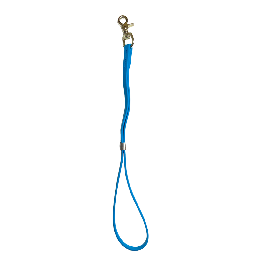 alpha-grooming-classic-grooming-loop-blue
