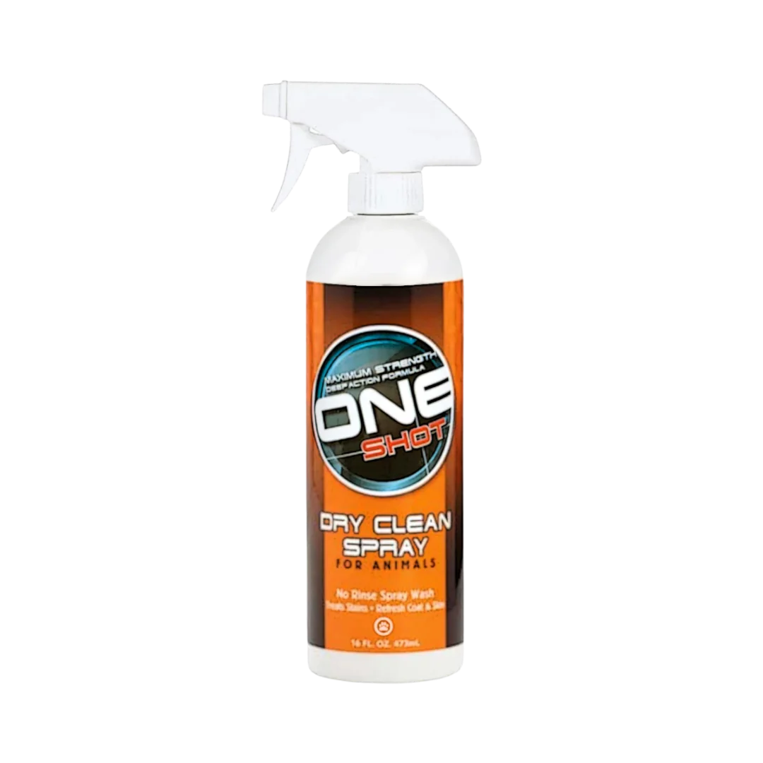 best-shot-one-shot-dry-clean-spray-shampoo-16oz