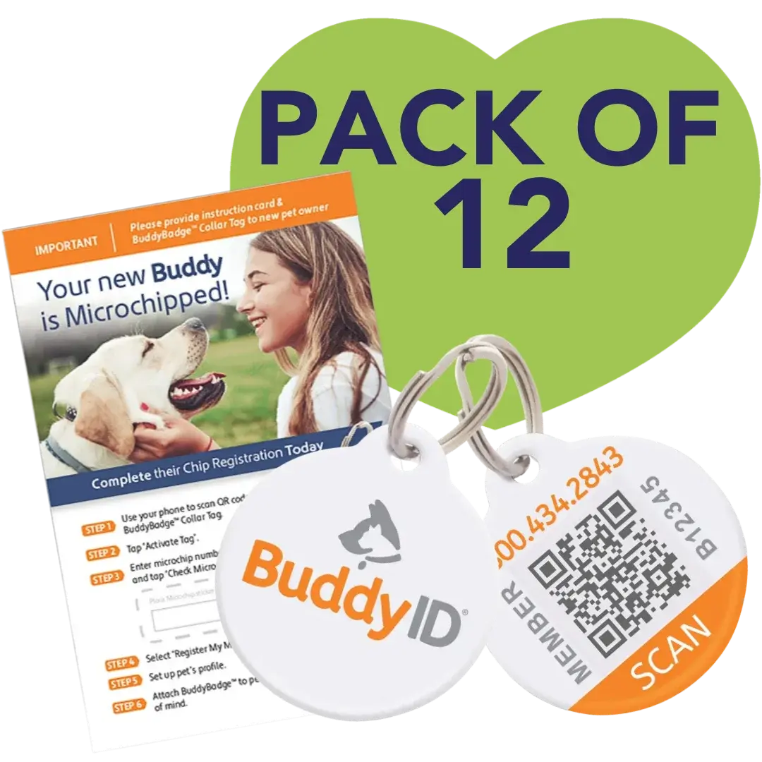 buddyid-box-of-12-buddybadge-collar-tags-with-registration
