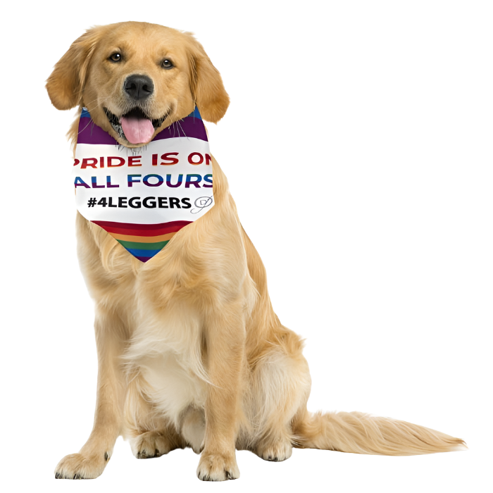 dog-fashion-living-bandana-for-dogs-pride-1-700x700-1_2024-06-04T17_13_45.245Z