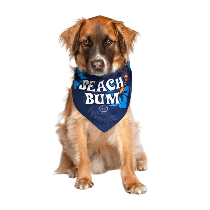 dog-fashion-living-beach-bum-dog-bandana_31b28611-9203-490f-9aa8-cd32d9fbab09