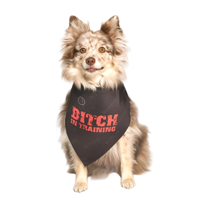 dog-fashion-living-bitch-in-training-dog-bandana_c4771bc8-1fd0-47ff-9f45-c090b418589e