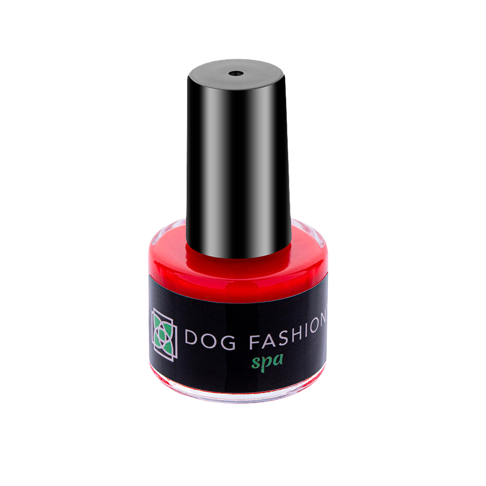 dog-fashion-spa-sexy-paw-red-nail-polish_2024-06-24T20_07_18.693Z