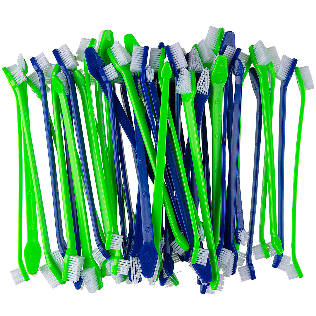 dual-end-tooth-brushes-50-count-green-blue-by-petstore-direct
