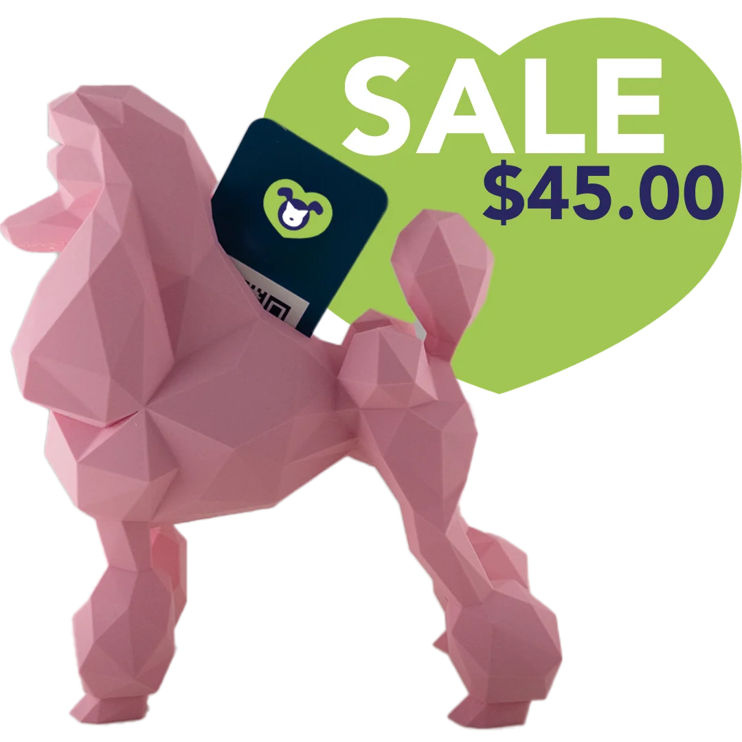 kumpe3d-poodle-business-card-holder-pink