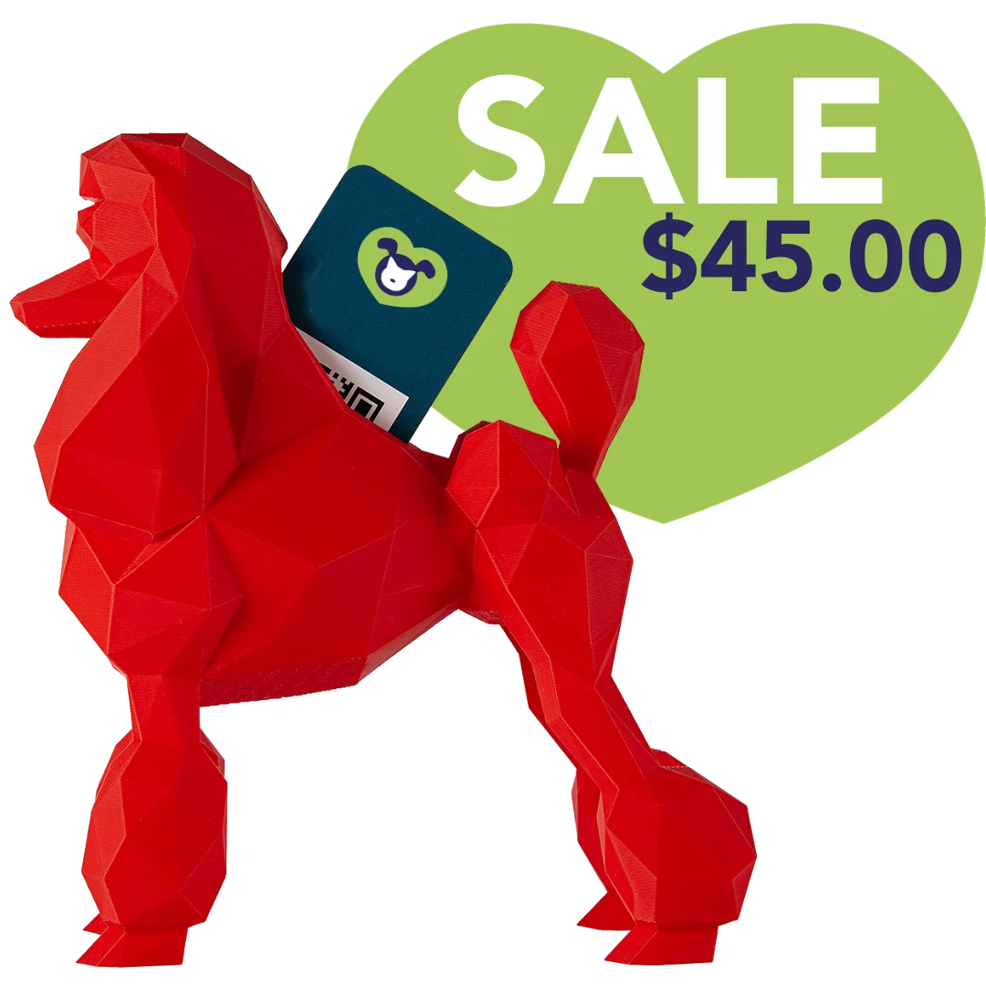 kumpe3d-poodle-card-holder-red
