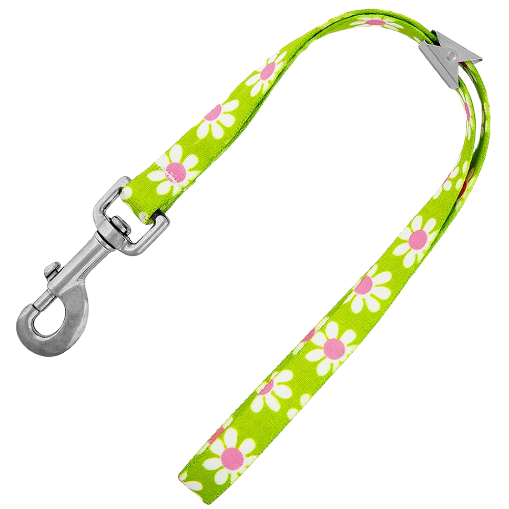 loop-dawgy-green-short-loop