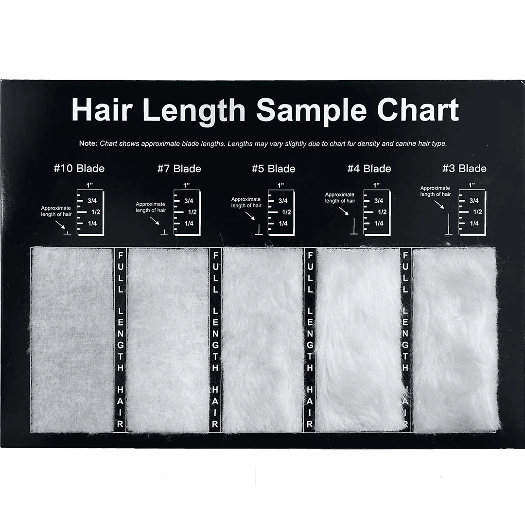 petstore-direct-dog-hair-length-sample-chart-for-grooming