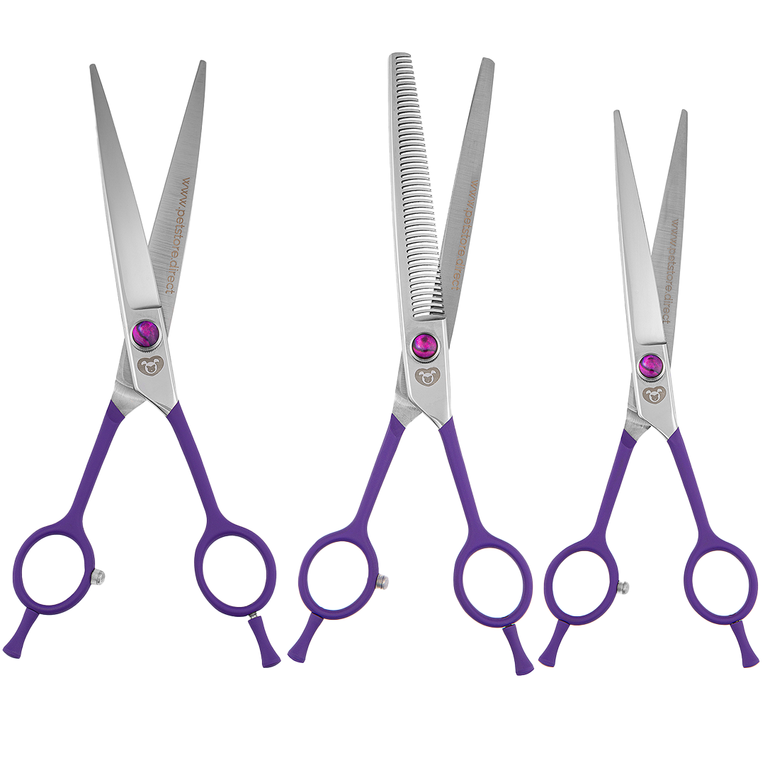 petstore-direct-student-shear-set