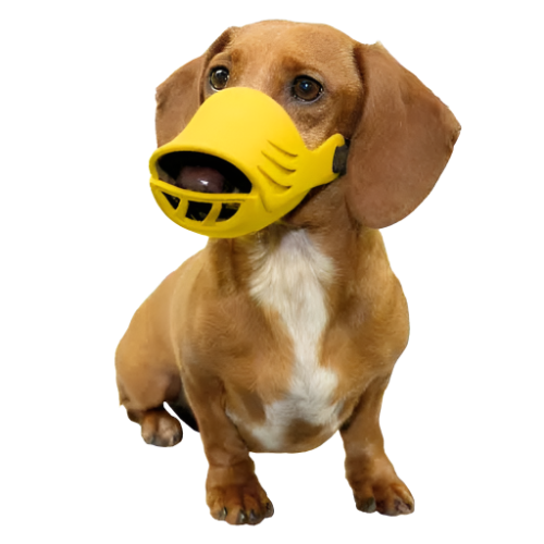products-artero-silicone-dog-muzzle-grooming-medium