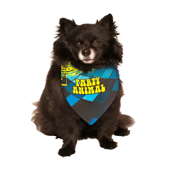 products-dog-party-gift-bandana_2024-06-04T16_54_44.406Z