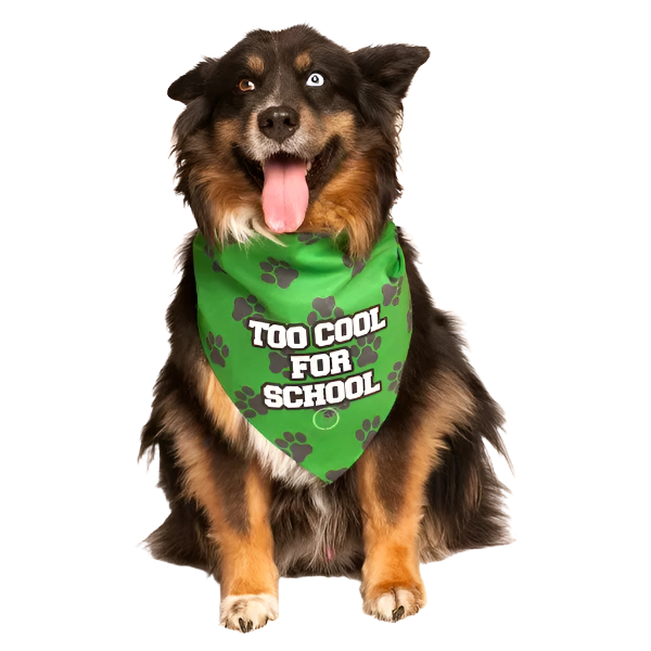 products-obedience-dog-bandana_2024-06-04T17_01_16.545Z