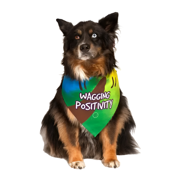 products-rescue-dog-bandana_2024-06-04T17_08_07.797Z