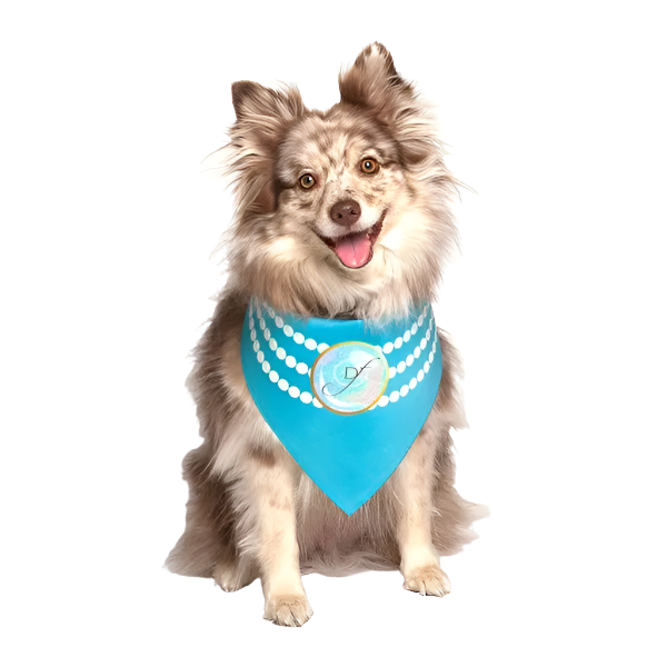 products-wedding-flower-dog_2024-06-04T16_58_20.053Z