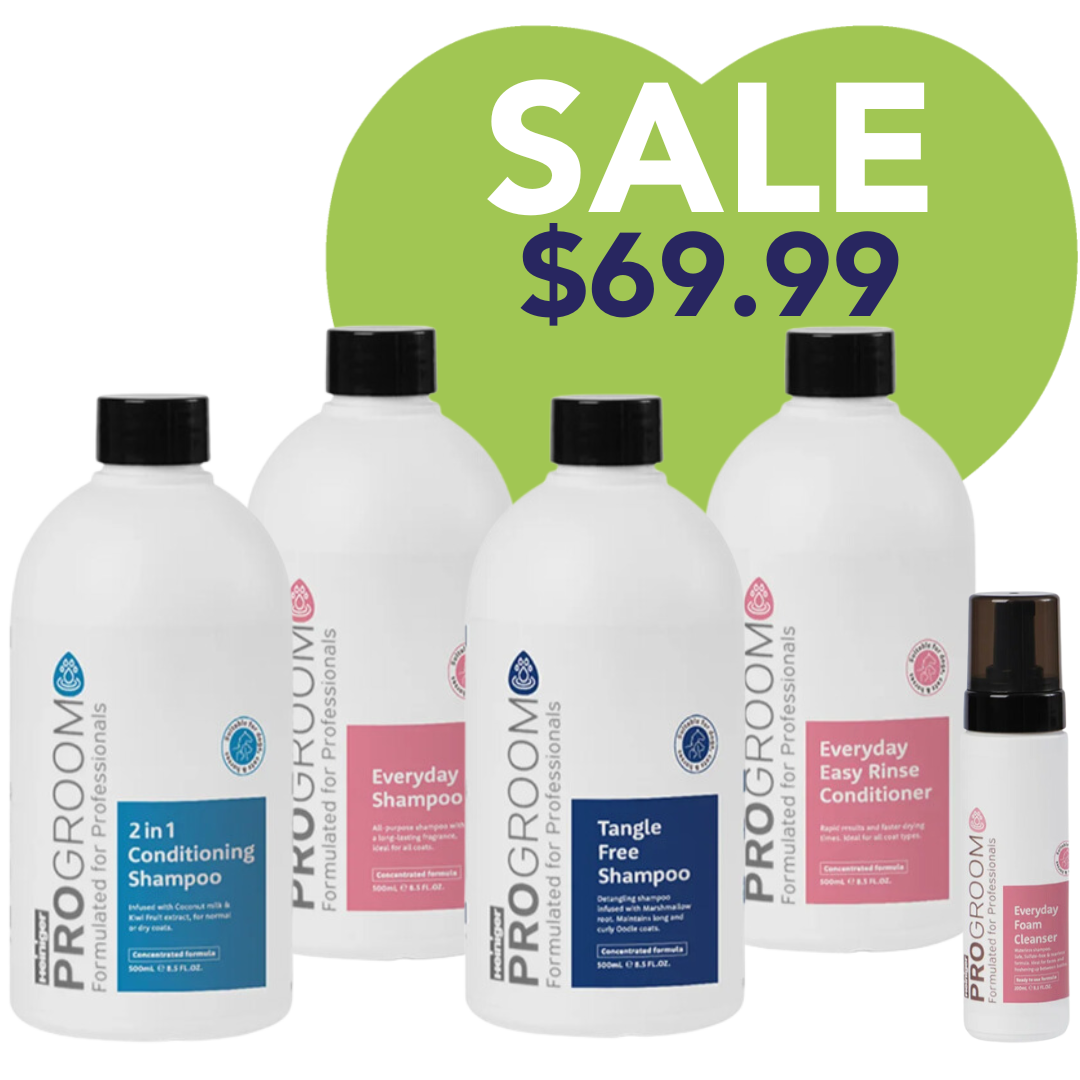 progroom-everyday-bundle-holiday-theme