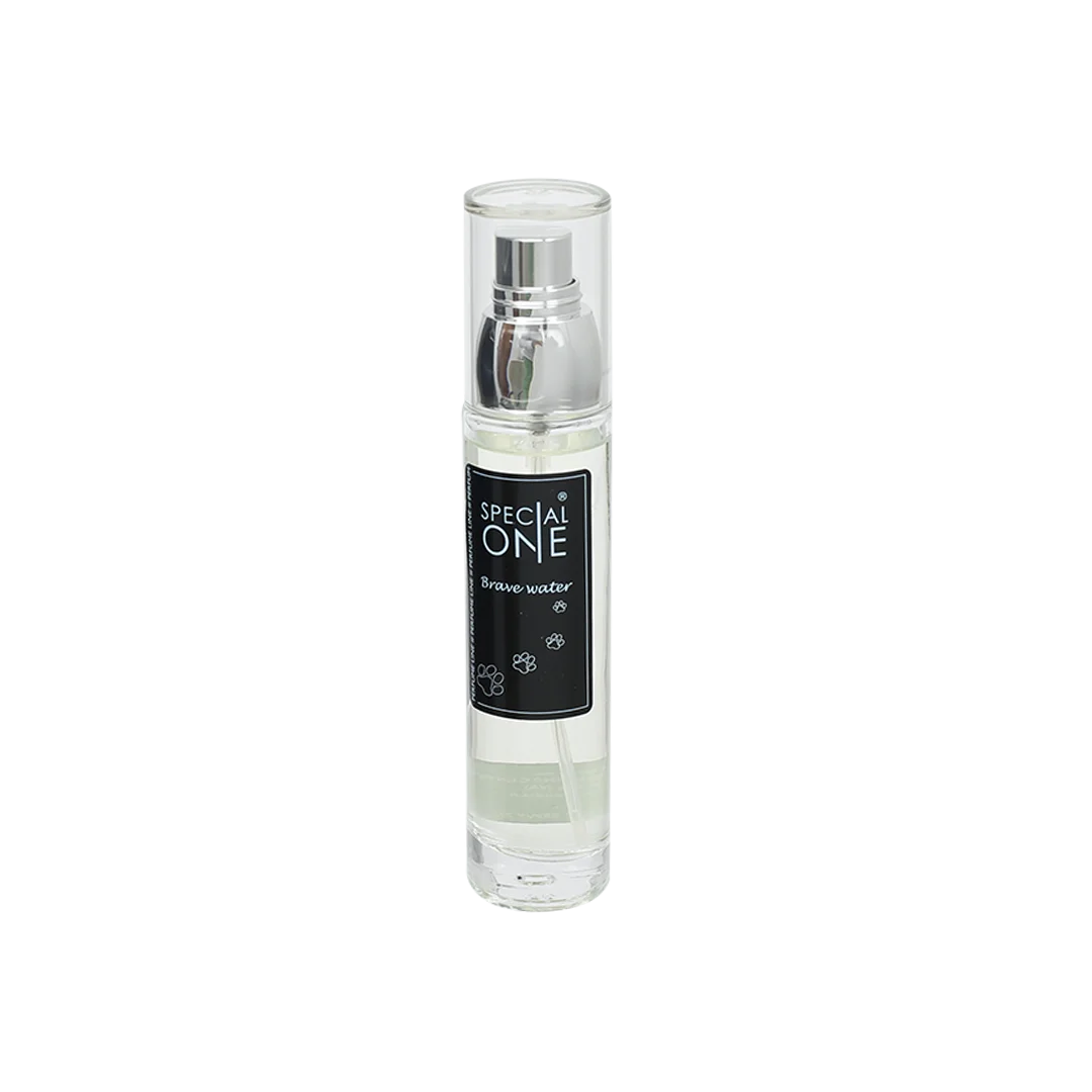 special-one-perfume-brave-water