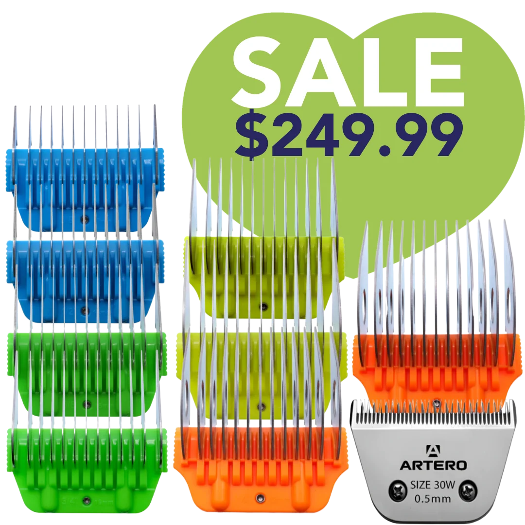 wide-comb-attachements-with-30w-blade-set-by-artero